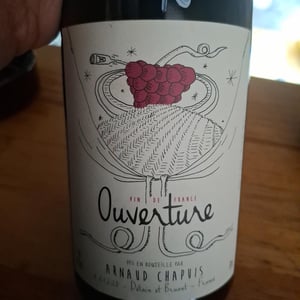 Ouverture - Pinot Noir - Domaine Arnaud Chapuis - arnaud-chapuis