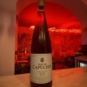 Palhete - Vale da Capucha - pedro-marques -2019