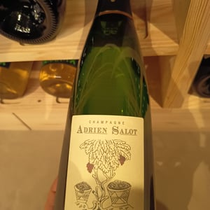 Pampre Meunier - Champagne Adrien Salot - adrien-salot -2014