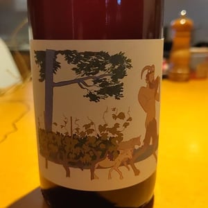 Pan - Vin Des Potes - peter-sandra-fischer