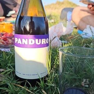 Panduro Tinto (Jumilla) - Panduro Vinos Murcia - ibon-apezteguia-henrik-falk-lf -2020