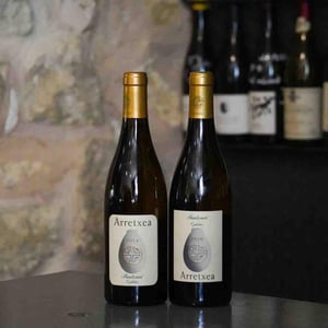 Pantxuri Ophites - Arretxea - therese-michel-iban-theo-riouspeyrous