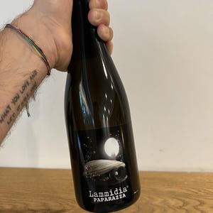 Paparazza - Lammidia - marco-giuliani-davide-gentile