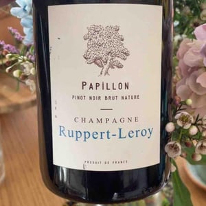 Papillon - Champagne Ruppert-Leroy - emmanuel-ruppert-benedicte-leroy