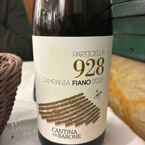 Particella 928 - Cantina del Barone - luigi-sarno -2021