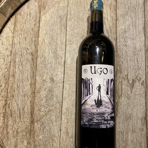 Pas Sage - Ugo - francoise-casaubieilh-pierre-coulomb -2015