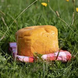 Pastis Landais - Mitchut - YARD L’épicerie - 922296