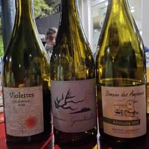 Patrimonio - Domaine Giudicelli - muriel-giudicelli