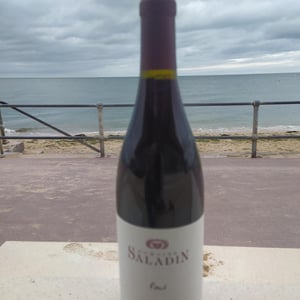 Paul - Domaine Saladin - elisabeth-marie-laurence-saladin