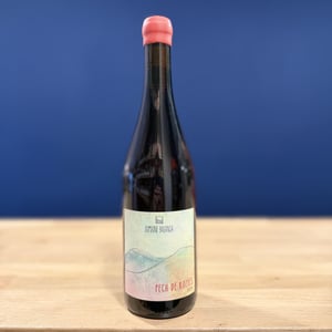 Pech De Rozies - Domaine Balansa - celine-peyre-alex-gressent