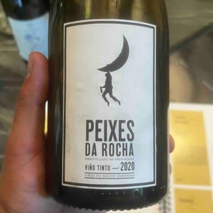 Peixes Da Rocha - Fedellos do Couto - luis-taboadacurro-barreno-jesus-olivares -2019