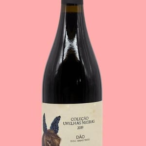 Pelludo - Quinta da Pellada | Quinta de Saes - maria-alvaro-castro -2017