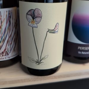 Pensées Sauvages - Famille Hebinger - christian-veronique-et-denis-hebinger