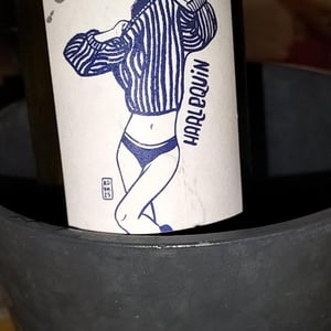 Pépin Riesling - Pépin Vin - jean-dietrich-pierre-dietrich-sarah-hilzendeger-pierre-sanchez-et-xavier-cou-ec