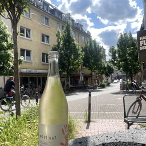 PetNat - Wagner von Wohlgemuthheim - wagner-von-wohlgemuthheim -2022