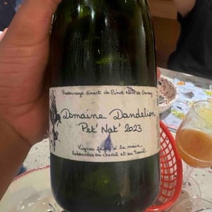 Pet nat - Domaine Dandelion - morgane-seuillot-christian-knott -2022