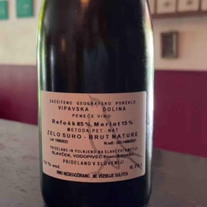 Pet-Nat - Slavček - franc-vodopivec -2022