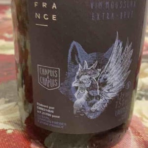 Pétillant Naturel Blanc - Chapuis & Chapuis - romain-jean-guillaume-chapuis -2022