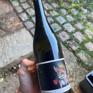 Petit Princé - Domaine de l'Alezan - remi-patricia-bonneton -2023