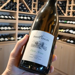 Petite Arvine - Clos de la Petite Gallée - robert-patrice-thollet -2023