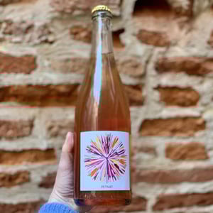PetNat - Domaine Plaisance - Penavayre - louis-marc-et-thibaut-penavayre -2022