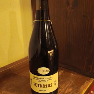 Petrosus (Label from 2020) - Les Chemins de l'Arkose - yvan-bernard-audrey-baldassin