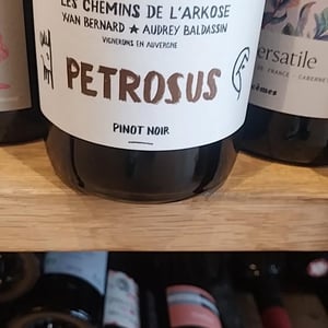 Petrosus (Label from 2020) - Les Chemins de l'Arkose - yvan-bernard-audrey-baldassin