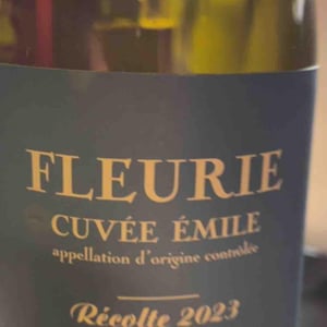 Phénix - Les Bertrand - guy-annick-yann-bertrand