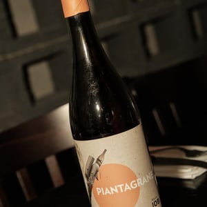 Piantagrane - Villa Job - alessandro-job