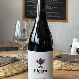 Picaro - Casa Brecceto - casa-brecceto -2022