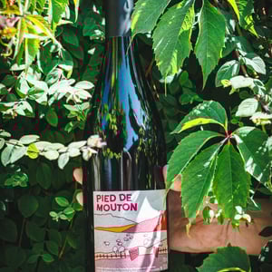 Pied de mouton - Domaine des Sonnettes - Sonshine Vins - edouard-gouyette-lisanne-van-son