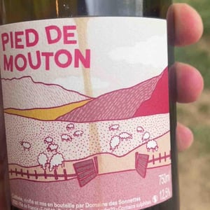 Pied de mouton - Domaine des Sonnettes - Sonshine Vins - edouard-gouyette-lisanne-van-son