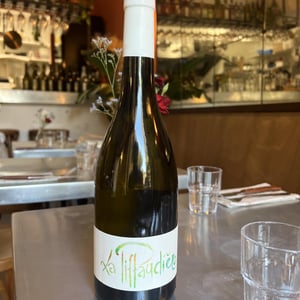 PIG SAUVIGNON - La Piffaudiere - olivier-bellanger -2022