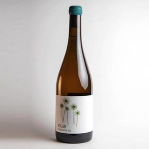 Chardonnay - Bodegas Y Viñedos Pigar - juan-piqueras-susana-lopez