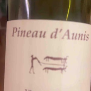 Pineau d'Aunis - Clos du Tue-Bœuf - zoe-louise-thierry-puzelat