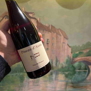 Pineau d'Aunis - Clos du Tue-Bœuf - zoe-louise-thierry-puzelat