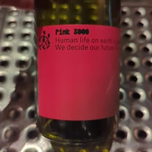 Pink 3000 - Weingut Schätzel - Kai Schätzel & Jule Eichblatt