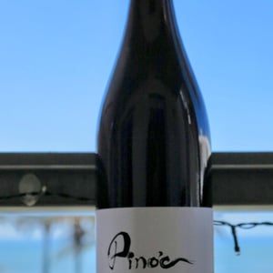 Pino'c - Wa Sud - kohki-iwata -2018