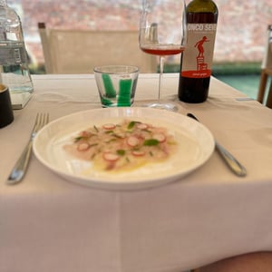 Pinot Grigio - Ronco Severo - stefano-novello