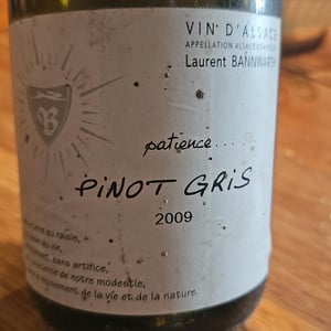 Pinot Gris Patience - Laurent Bannwarth - stephane-bannwarth