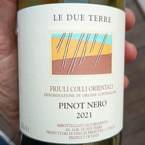 Pinot Nero - Le Due Terre - silvana-forte-flavio-e-cora-basilicata