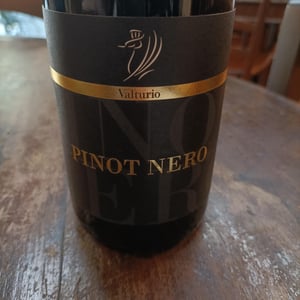 Pinot Nero - L'Opificio del Pinot Nero - marco-buvoli