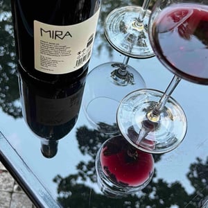 Pinot Noir - Mira - mira-milan-nestarec -2022