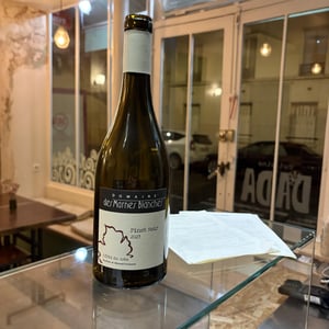 Pinot Noir - Domaine Des Marnes Blanches - pauline-geraud-fromont