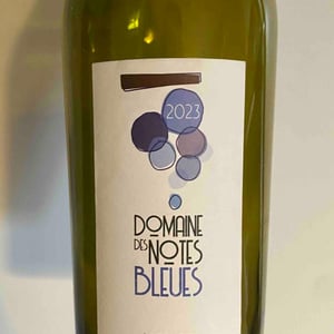 Pinot noir arbois - Domaine Des Notes Bleues - cedric-mottet -2023