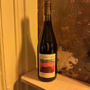 Pinot Noir - Domaine de la Mongestine - maxime-gamard-celine-harry-gozlan