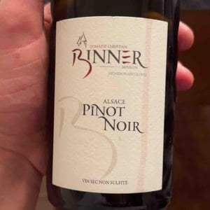 Pinot Noir - Domaine Christian Binner - christian-binner-et-son-equipe