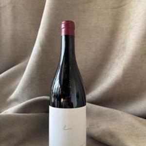 Pinot Noir - Domaine Finot - thomas-finot