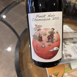 Pinot Noir Chamoson - Domaine des Petites Planètes - guillaume-bodin -2022