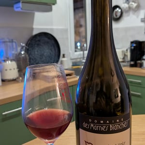 Pinot Noir - Domaine Des Marnes Blanches - pauline-geraud-fromont